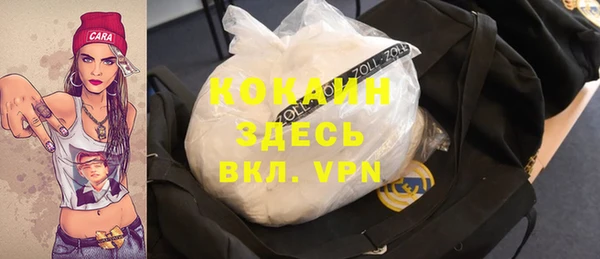 сатива Арсеньев