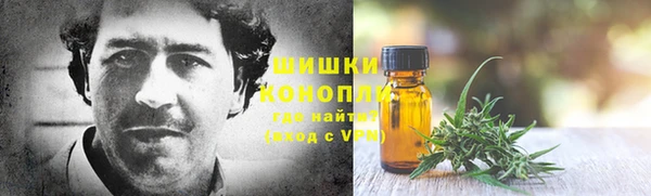 бошки Семилуки