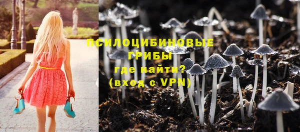 ALPHA-PVP Армянск