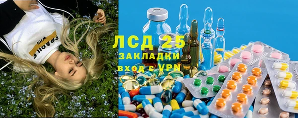 дмт Аркадак