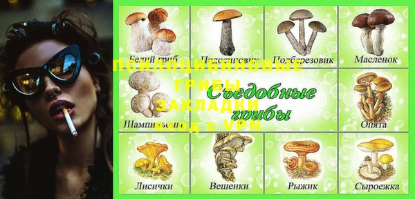 дмт Аркадак