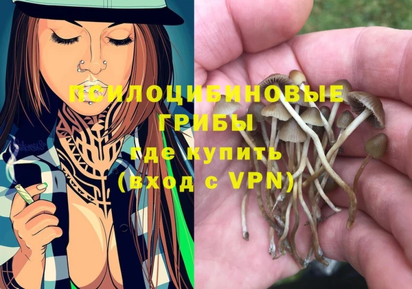 сатива Арсеньев
