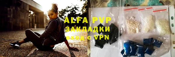 сатива Арсеньев